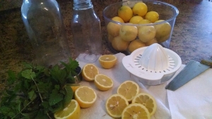 lemon detox 2