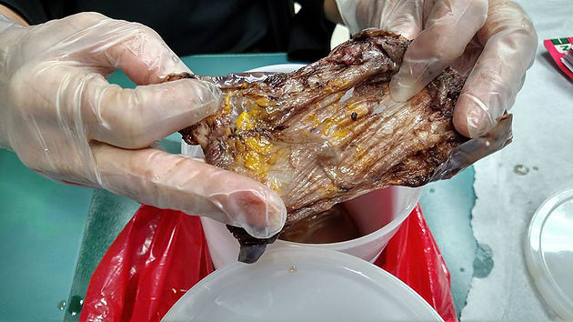 capsule removed